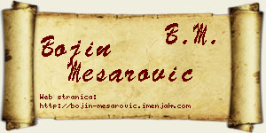 Bojin Mesarović vizit kartica